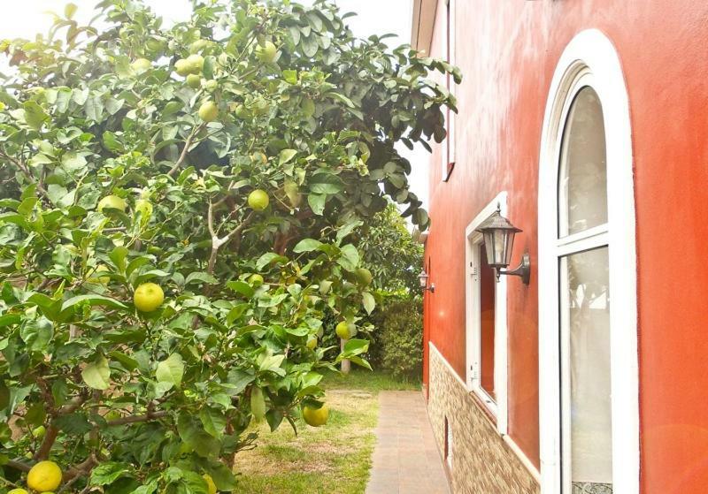 Casa Buganvilla Los Realejos Exterior foto